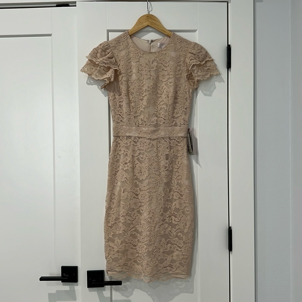 New with tags Rachel Parcell lace cream sheath dress.